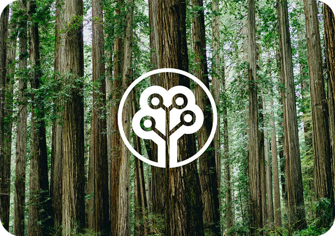 Group_445_tree_nation_1200x_0ee75fbe-bb82-42fb-a128-ee57ac793311.webp
